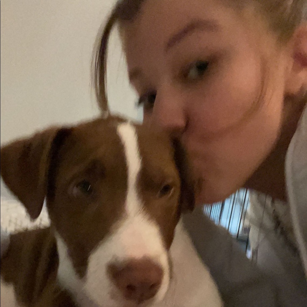 Meet your Posher, Lexi
